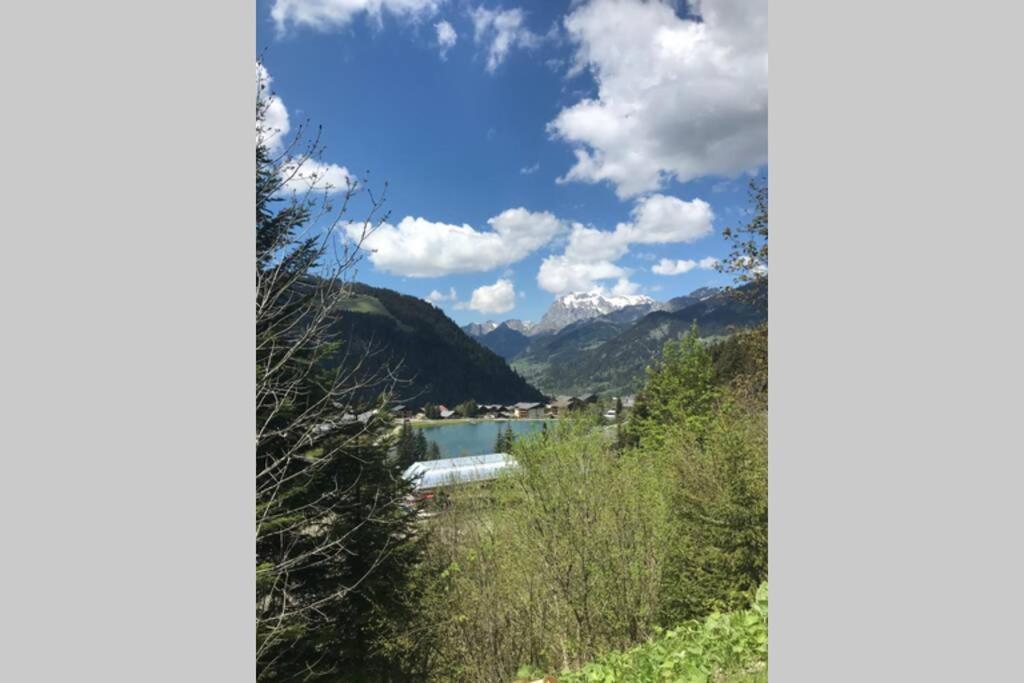 Studio Les Freinets 沙泰勒 外观 照片